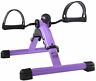15-0131 Stamina Instride Pop Fitness Cycle Purple