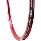 C02m28126040spk Spank Tweet Tweet-evo 26 4717760760056