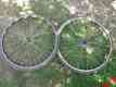 Fh-m732 Shimano Campagnolo Mirox 26 Wheel