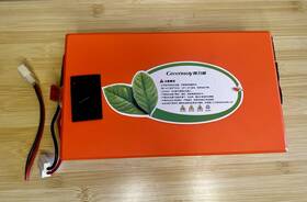 Zz4161306 Greenway 48v Ebike Scooter Lithium Ion Battery 19.2ah 921.6wh
