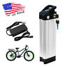 S008 Unit Pack Power Silverfish Lithium Ion Ebike Battery For Motor