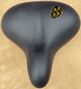 Selle Royal 768661559588 Lagoon Bike Seat Royalgel Superior Comfort Cushioned Saddle