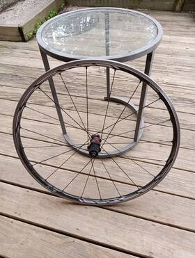 559005 Shimano Rs 81 20 Hole Rear Rim