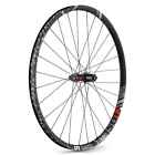 Wxm1501tedbs013625 Dt Swiss Wheel Rear 7630033871754