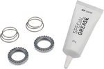 Dt Swiss 54T Star Ratchet Kit With Springs & Grease For 350/240/180 Hubs. Fixed Price $149.70.