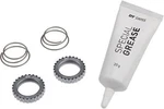 Dt Swiss 54T Star Kit: 2 Ratchets Springs And Grease. Fixed Price $124.99.