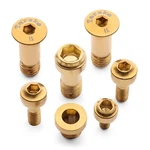 Gold Titanium Hardware Kit For Sram Xx X0 Gx Transmission T-type Derailleurs. Fixed Price $14.97.