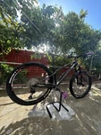 Cannondale Trail Medium 29" Hardtail Mountain Bike Hydraulic Disc Black/purple. Fixed Price $1375.00.