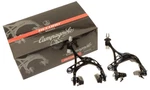 Campagnolo Record Skeleton Brake Calipers Pair 2007 BR7-RE Black Nos New. Fixed Price $219.99.