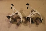Scor (bmc In House Brand - Same As Tektro R741C) Road Rim Brake Set White. Fixed Price $69.99.
