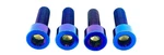 Titanium Axle Pinch Bolts E-moto Forks. Fixed Price $22.03.