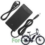 54.6V Charger For Power Radcity Plus Step-thru 3. Fixed Price $52.07.