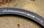 Specialized Purgatory Grid Tire 29X2.6 Mountain Bike Downhill Dh Gripton 2BLISS. Fixed Price $30.00.