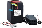 Btrpower 48V 30AH Ebike LIFEPO4 Battery Pack For Scooter 1000W Motor 5A Charger. Fixed Price $309.00.