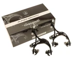 Campagnolo Super Record Skeleton Brake Calipers Pair '11 BR11-SR Black Nos New. Fixed Price $289.99.