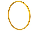 Rim Box Focus 20 1-1/8 451X12 Rear 28 Hole Mini Jr Bmx Gold. Fixed Price $64.99.