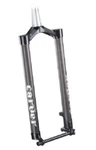 Carver Bikes Carbon 29" Tapered Mtn Disc Fork 465MM Axle To Crown With 15MM. Fixed Price $299.95.
