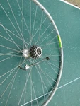 Ambrosio Montreal 700C Tubular Rear 36H Italy Shimano Hub Regina Extra 7SPD. Fixed Price $80.00.