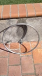 Campagnolo Record 32 Hole Hub Wheel Mavic Open Pro Rim, 700C. Fixed Price $120.00.