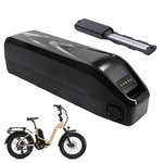 E-bike Battery 48V Ebike Lithium For Power Bikes Radexpand 5 Plus. Fixed Price $225.00.