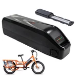 48V 13AH Ebike Battery Downtube Hailong For Power Bikes Radwagon 750W. Fixed Price $225.00.