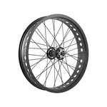 Easy Front Fat Bike Wheel 20X4 Axle 3/8, Balls, Steel Hub, Aluminum Rim, Black. Fixed Price $65.00.