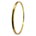 Rhyno Lite Xl Sun Ringle 26IN Gold 36. Fixed Price $59.00.