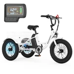 Mooncool Electric Tricycle 3 Wheels Bicycle Bikes 16IN 250W Aluminum. Fixed Price $549.00.