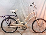 2016 Trek Electra Townie 24" Kids Cruiser Bike Step-thru 3 Speed Internal Hub. Fixed Price $269.97.