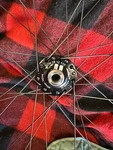 Handbuilt Dynamo Wheel Schmidt SON28 12X110 To Velocity Blunt Ss Blk 650B 32H Cl. Fixed Price $550.00.