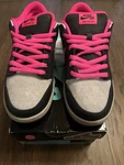 Nike Sb Dunk Low Disposable Size 9 Brand New With Box Authentic Fast Shipping !. Fixed Price $499.99.