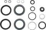 Rockshox Domain Dual Crown Fork Service Kit - Maintenance & Seal Replacement. Fixed Price $44.95.